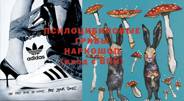 spice Покровск
